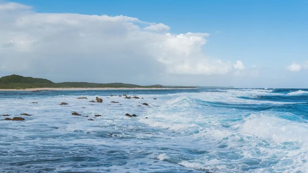 Comment participer à une expédition de randonnée dans les montagnes du Caucase?